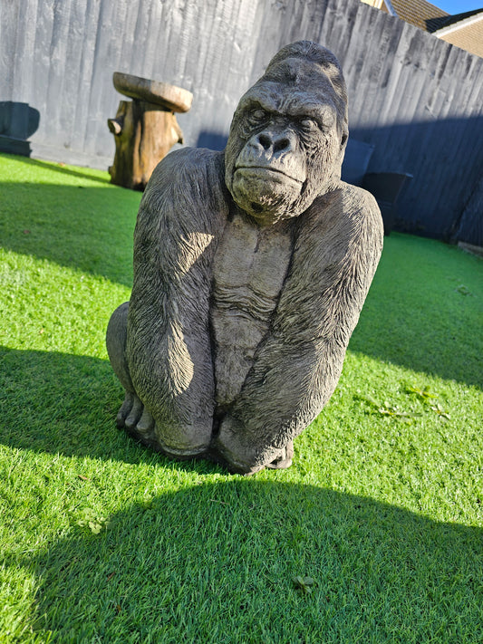 Silverback Gorilla